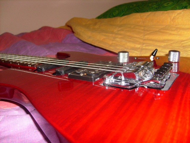 S7303319.JPG